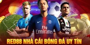 RED88 - Đẳng cấp của trang giải trí số 1 trên thị trường